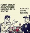 Głupie szczury