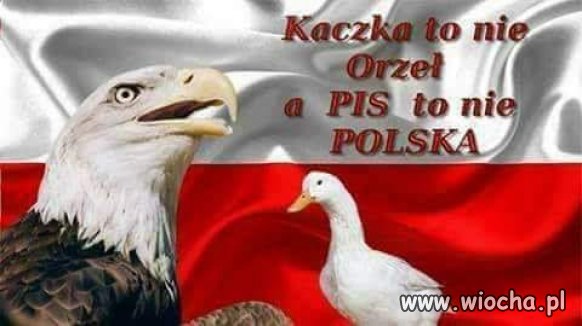 Polaku pamiętaj ...