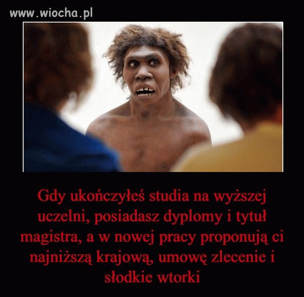 100 %
