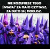 Dokładnie tak ...