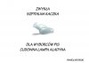 Lampa Aladyna...