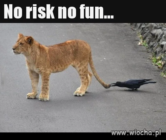 No risk...