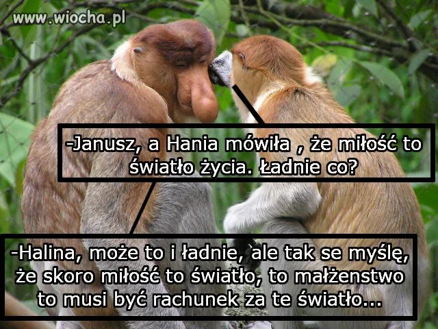 Janusz Nosacz