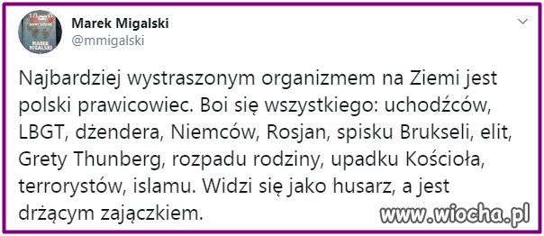 To tylko