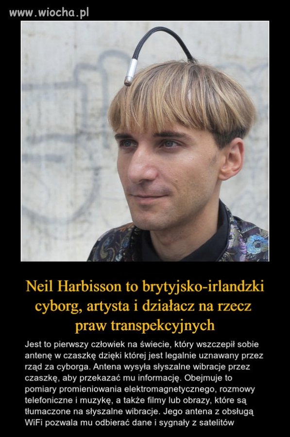 Zwykły debil