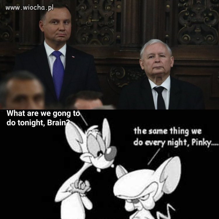 Try and take over the Poland !