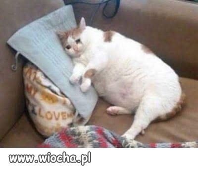 Gdy babcia nie ma wnuków ...