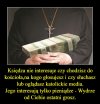 Oto cała tajemnica wiary, złoto euro i dolary.