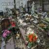 Bydgoszcz. Wichura zniszczyła nagrobki