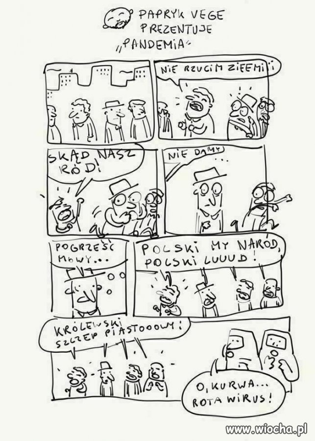 Polacy nie gęsi swój ...