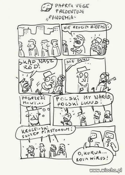 Polacy nie gęsi swój ...