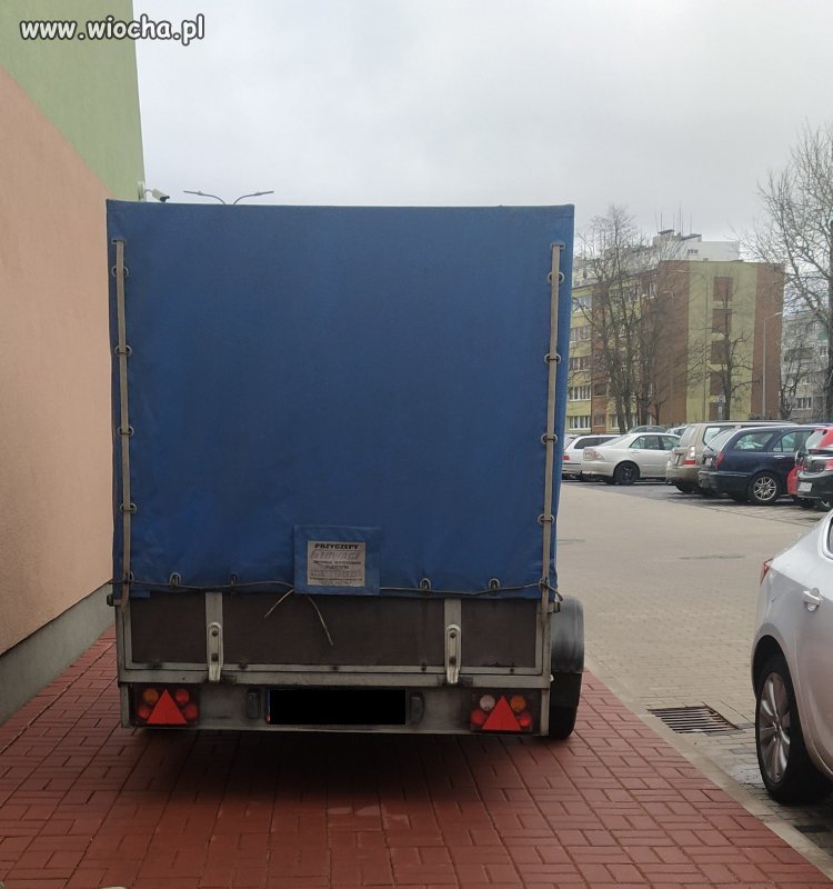 ,,Miszcz,, parkowania.