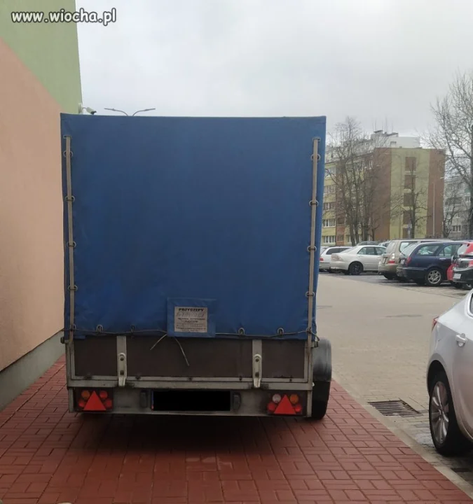 ,,Miszcz,, parkowania.