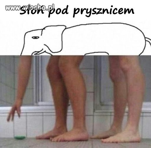 Na słonia.