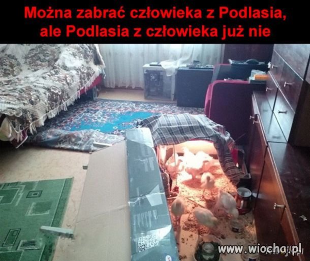 Znalezione w sieci