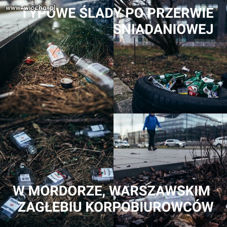 Polacy i ich korpokultura 