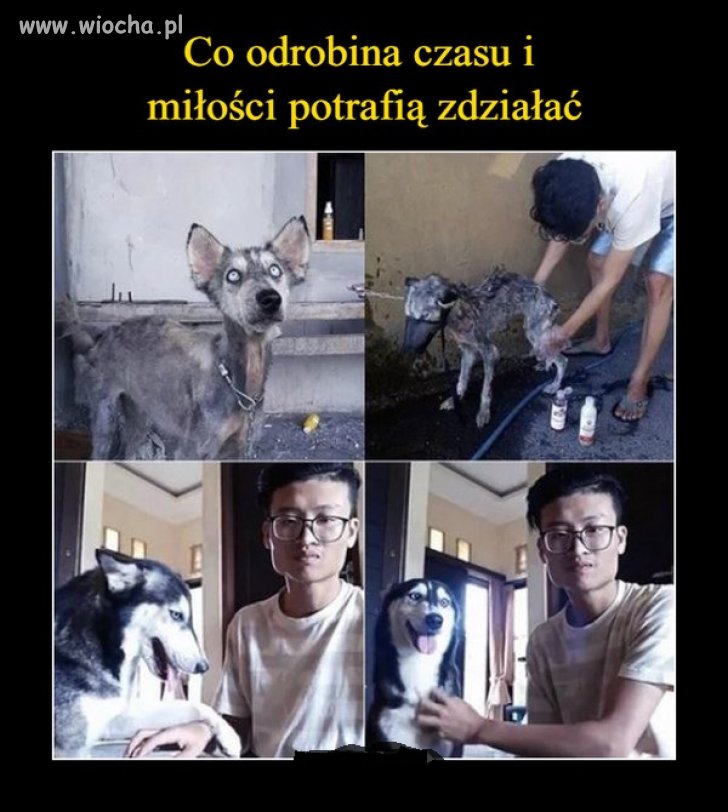 Miłość.