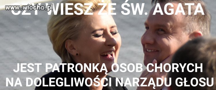 Krzyk ciszy