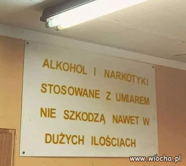 Złota myśl na dziś