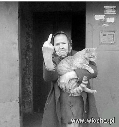 Pozdrowienia