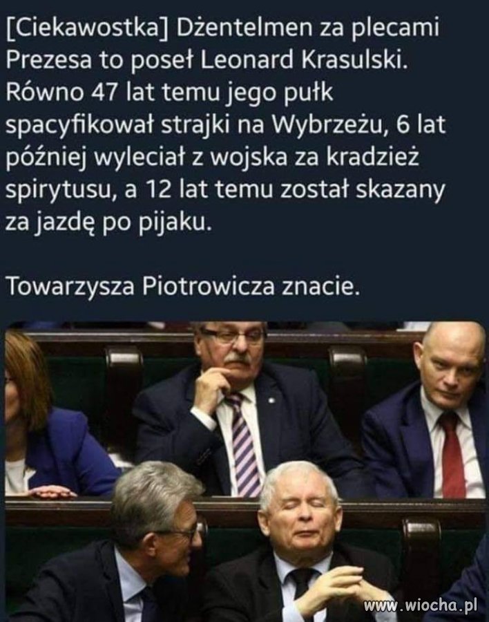 Tak to wygląda