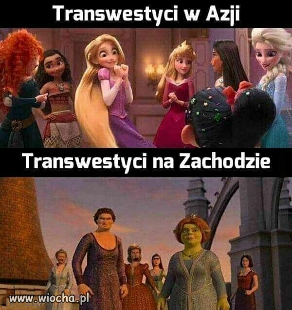 Hormony robią różnicę 