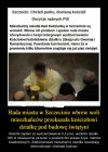 Decyzja Radnych Pis 