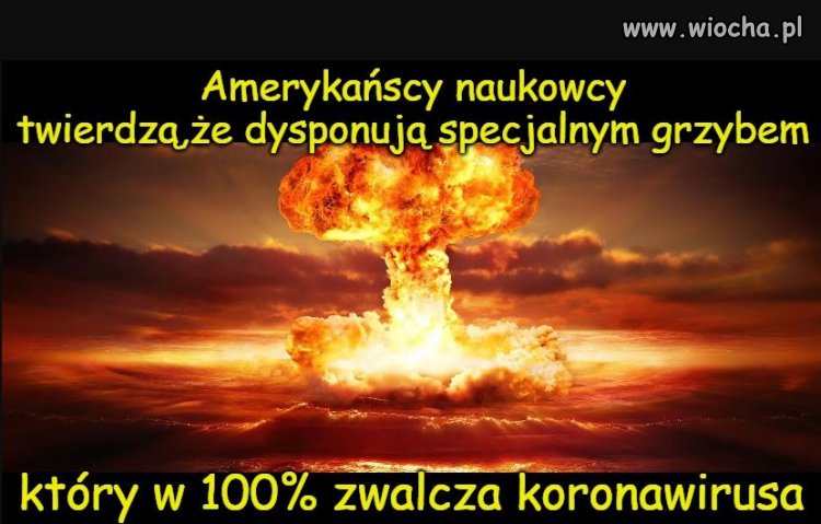 Jak tu nie ufać