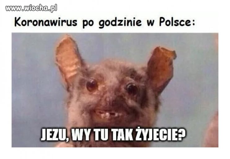 Polska jest bezpieczna