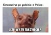 Polska jest bezpieczna