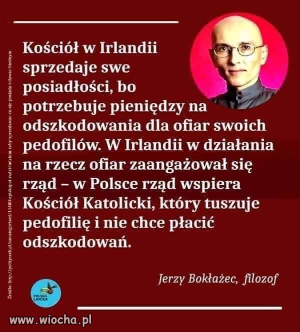 żyją w symbiozie...
