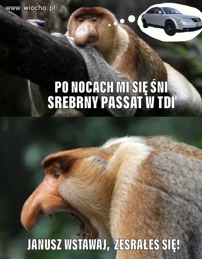 W mym garażu Cię ukryję