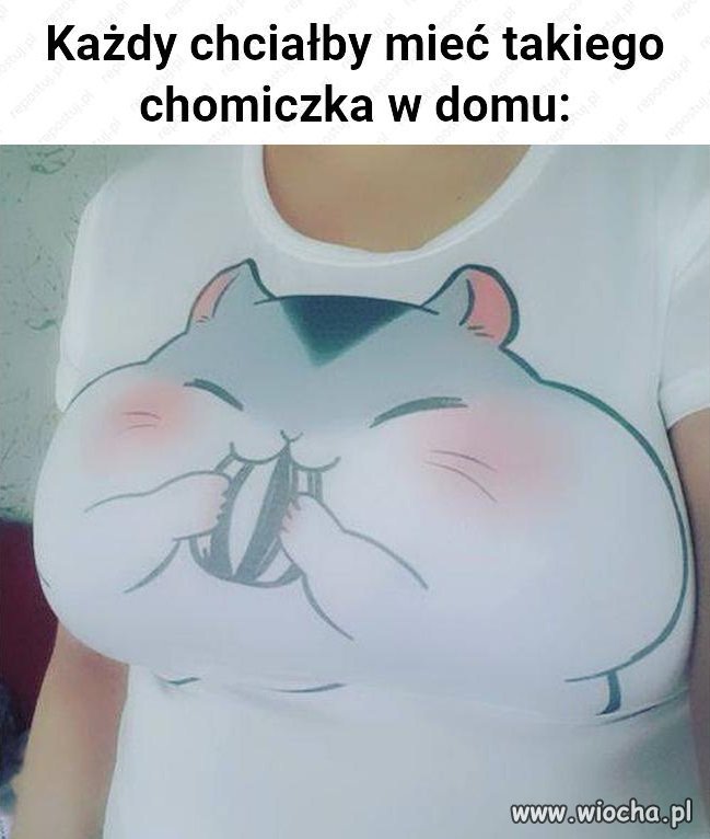Chomiczek