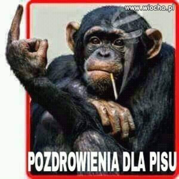 Mało kulturalnie 