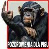 Mało kulturalnie 
