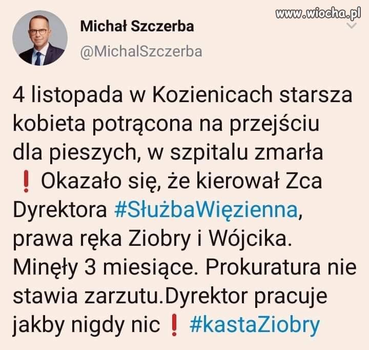 Państwo 