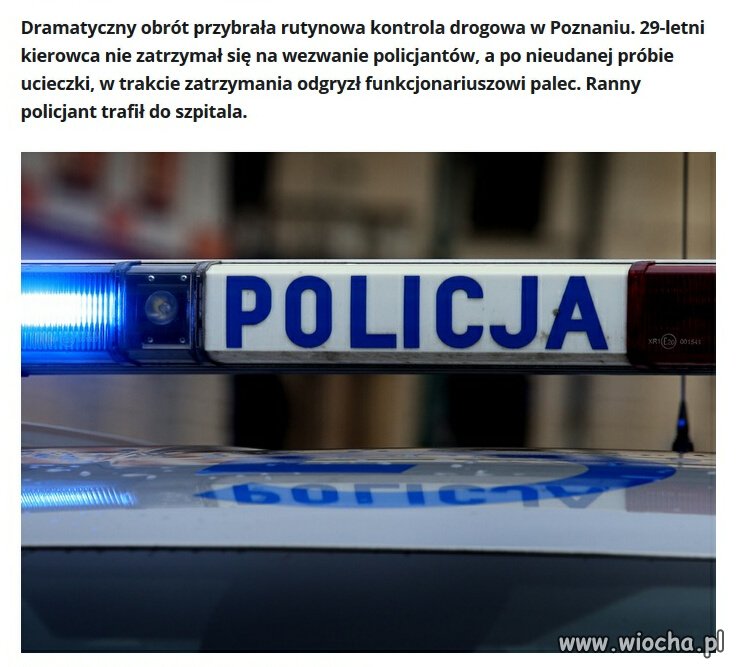 Głodny nie jesteś sobą 