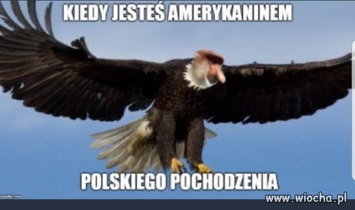 Kiedy jesteś Amerykaninem