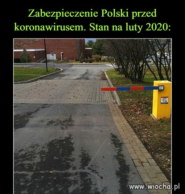 Damy rade
