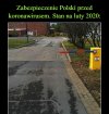Damy rade