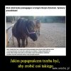 Bydlaki nie ludzie.