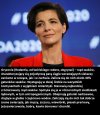 Definicja gryzoni