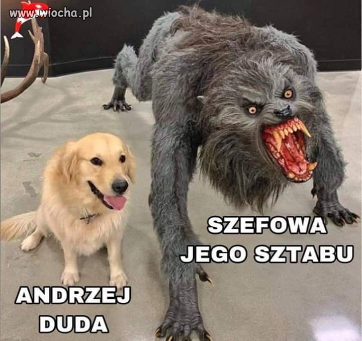 Adrian