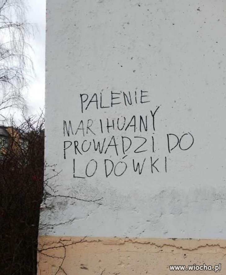 Fakt...