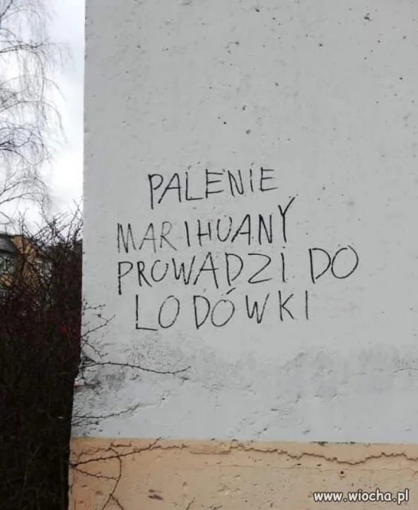 Fakt...