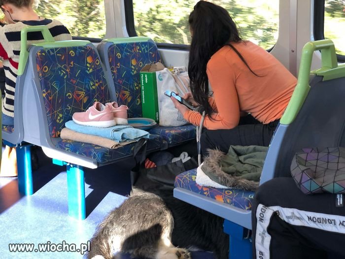 W autobusie