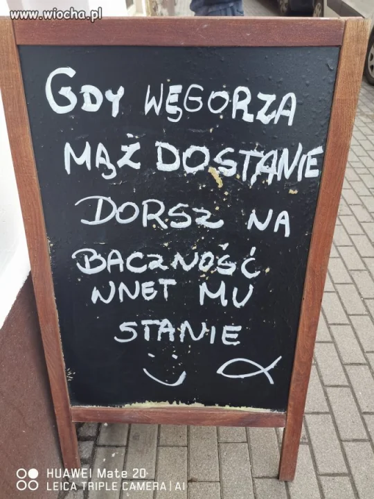Rybny Wrocław 