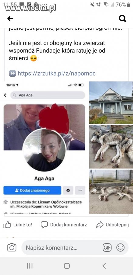 Zaglodziła Psa na złość mężowi 