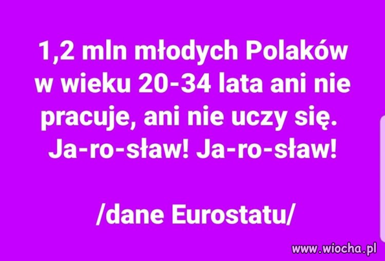 Jedyny efekt 500+