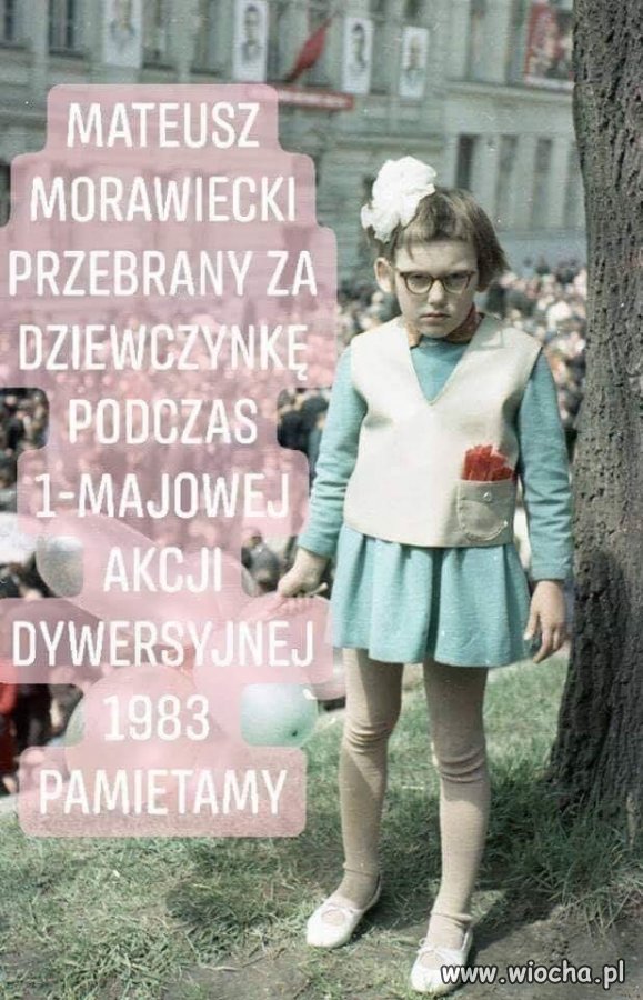 Matołusz dywersant